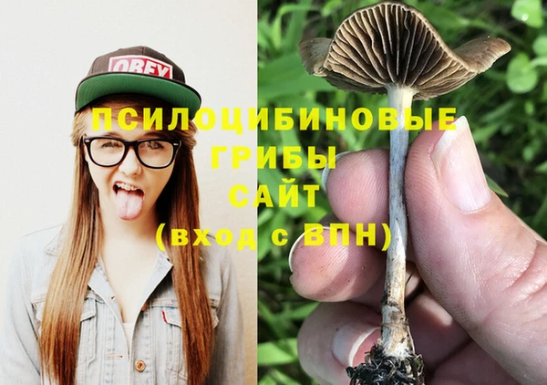а пвп мука Алексеевка