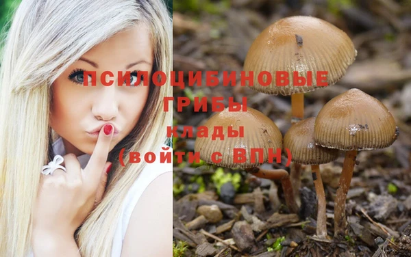 каннабис Алексин